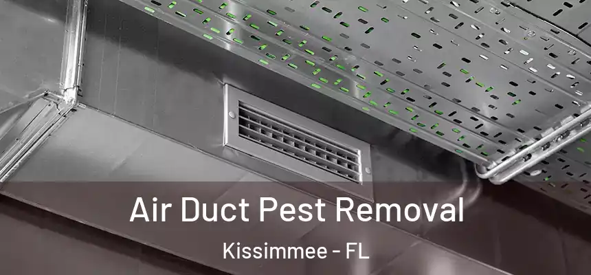 Air Duct Pest Removal Kissimmee - FL