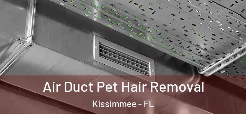  Air Duct Pet Hair Removal Kissimmee - FL