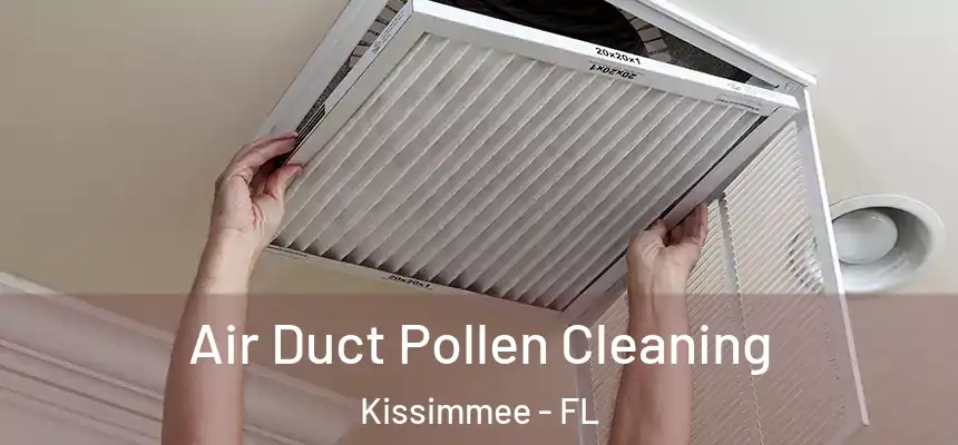  Air Duct Pollen Cleaning Kissimmee - FL