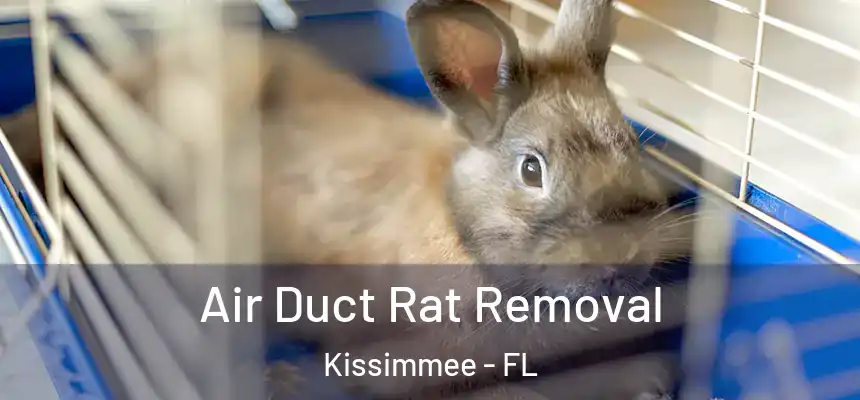  Air Duct Rat Removal Kissimmee - FL