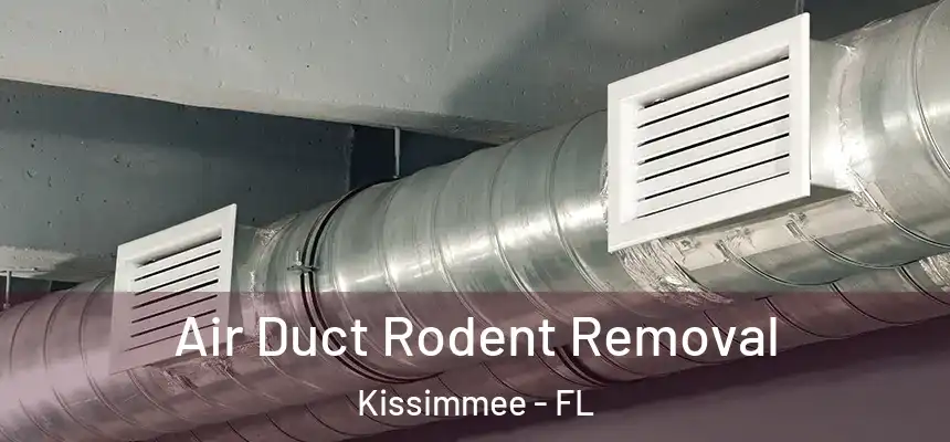  Air Duct Rodent Removal Kissimmee - FL