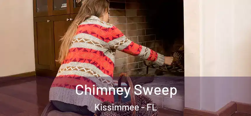  Chimney Sweep Kissimmee - FL