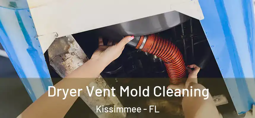  Dryer Vent Mold Cleaning Kissimmee - FL