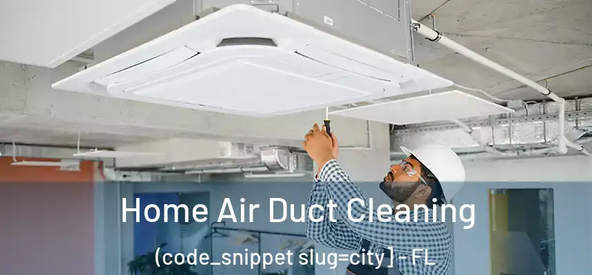  Home Air Duct Cleaning (code_snippet slug=city] - FL