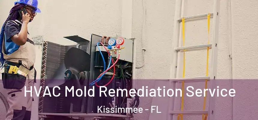  HVAC Mold Remediation Service Kissimmee - FL