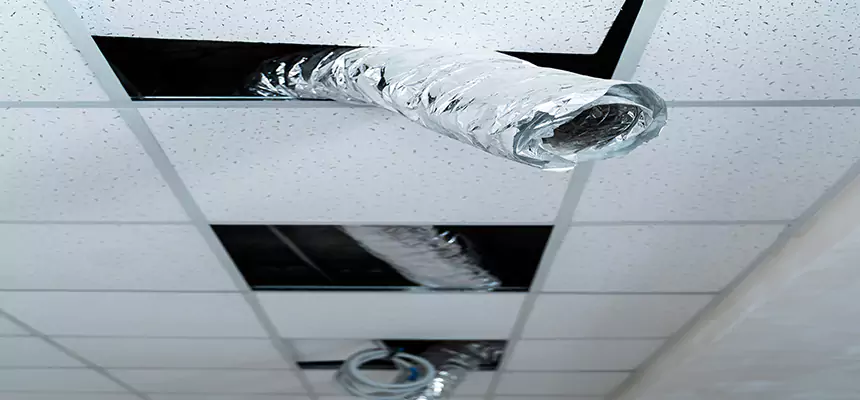 Affordable HVAC Sanitizing After Pest Removal in Kissimmee