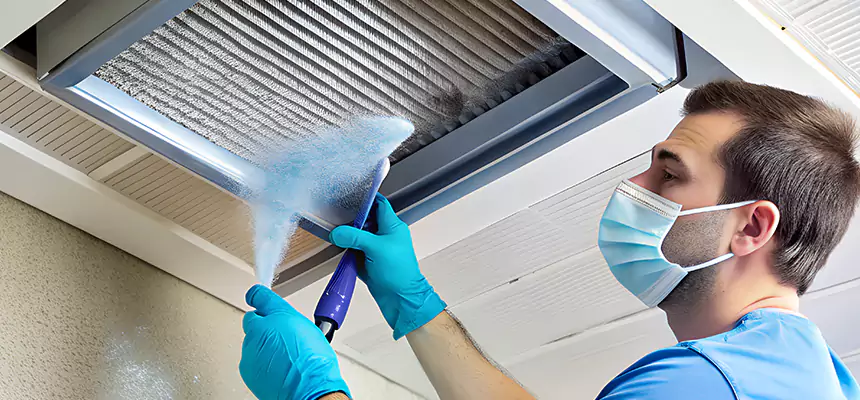 Proactive Dryer Vent & Auxiliary Duct Pollen Cleanup in Kissimmee, FL