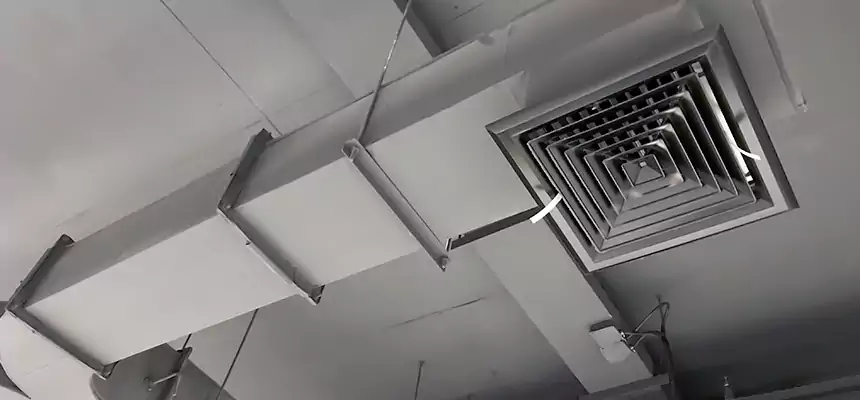 Restorative Allergy Relief Vent Cleaning – Coil, Blower & Housing Detail in Kissimmee