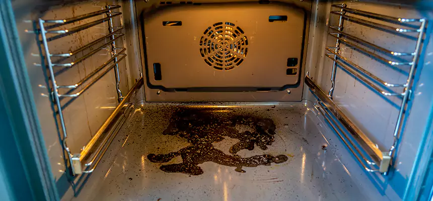 Our Dryer Vent Mold Cleaning Services in Kissimmee, FL