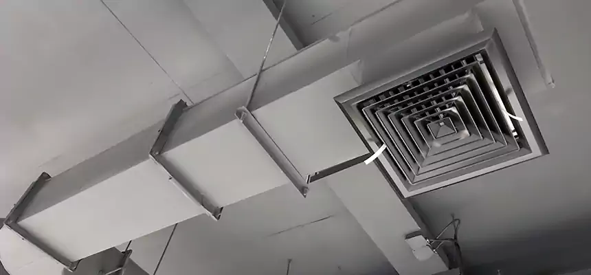 Our Pest Removal From Ducts Services in Kissimmee, FL