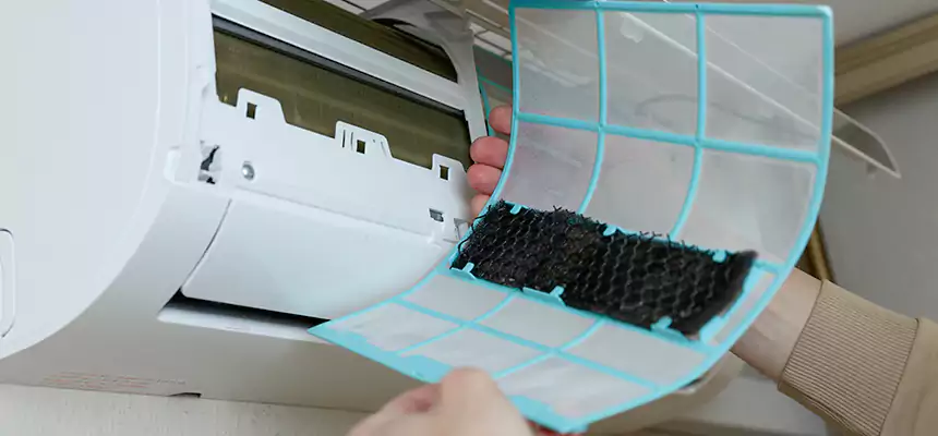 Gentle Ductwork Odor-Control Pet Dander Duct Cleaning in Kissimmee, FL