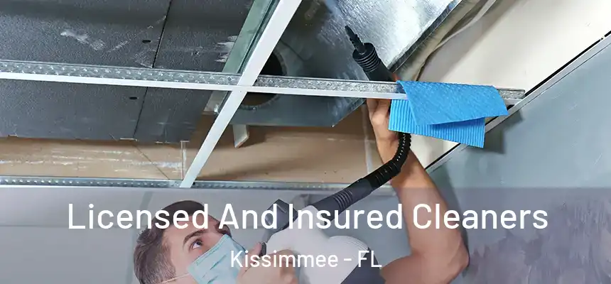  Licensed And Insured Cleaners Kissimmee - FL