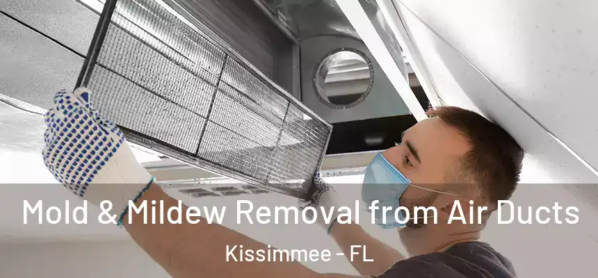 Mold & Mildew Removal from Air Ducts Kissimmee - FL