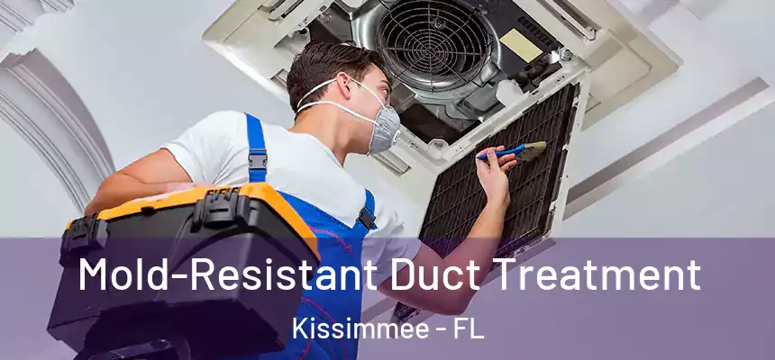  Mold-Resistant Duct Treatment Kissimmee - FL