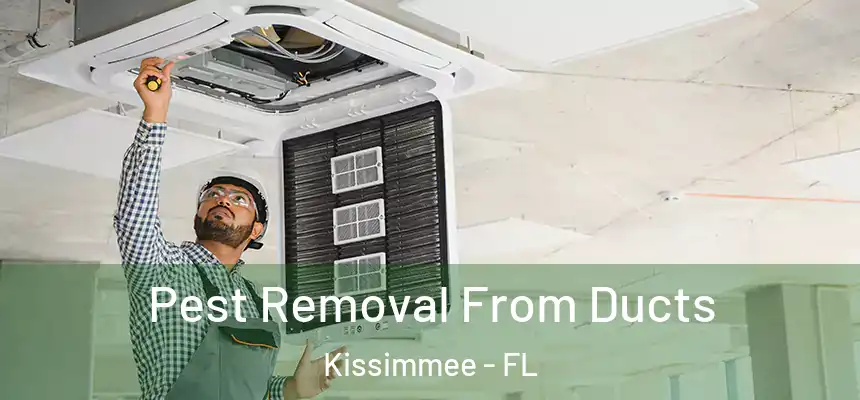  Pest Removal From Ducts Kissimmee - FL