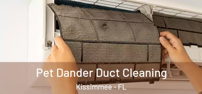  Pet Dander Duct Cleaning Kissimmee - FL