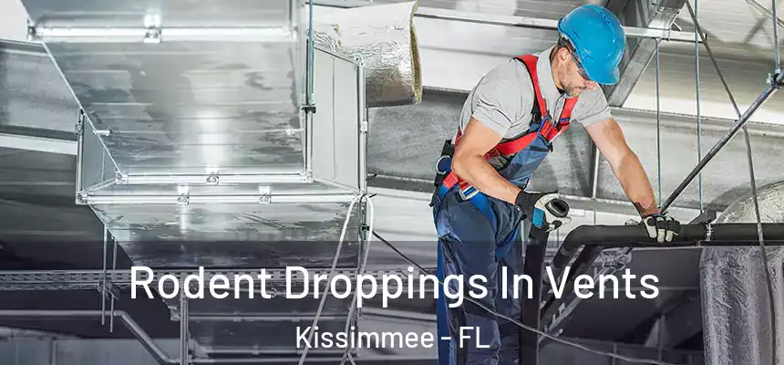  Rodent Droppings In Vents Kissimmee - FL