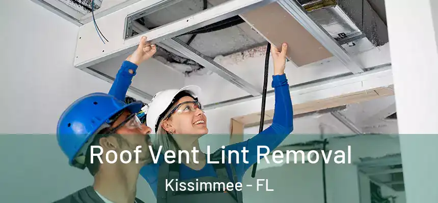  Roof Vent Lint Removal Kissimmee - FL