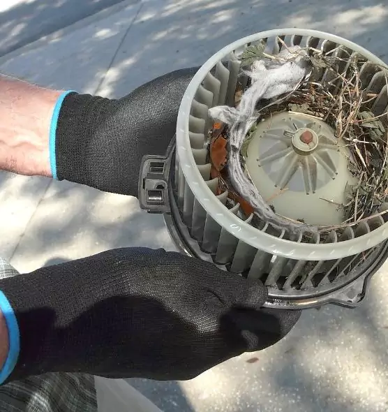 About Air Duct Rat Removal in Kissimmee, FL