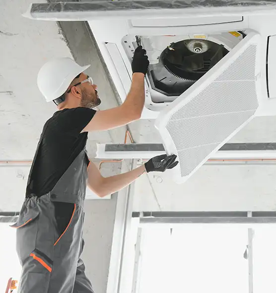 About Air Duct Rodent Removal in Kissimmee, FL