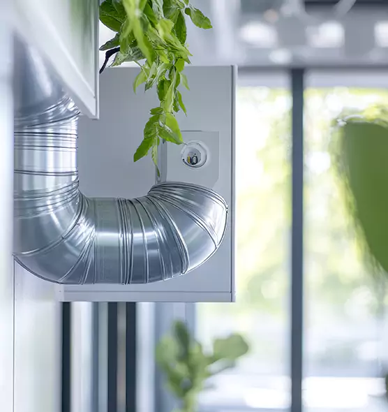 Professional Eco-Safe Dryer Vent Cleaning in Kissimmee, FL