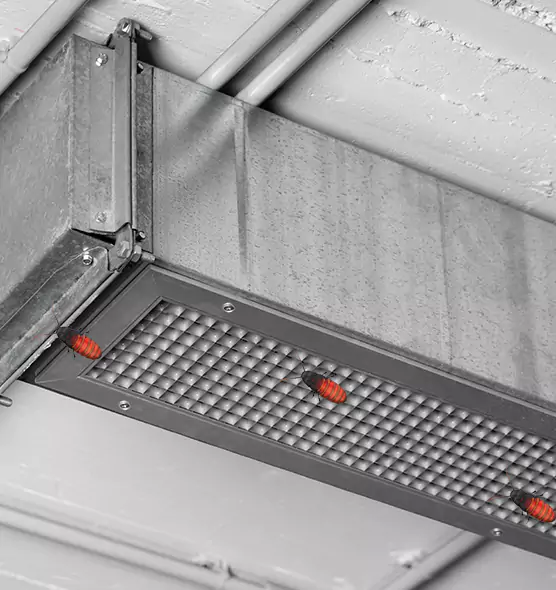 Affordable Insect Removal from Air Ducts in Kissimmee, FL