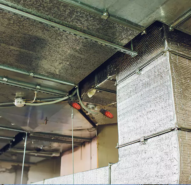 Why Homeowners & Businesses Trust Us in Kissimmee, FL?