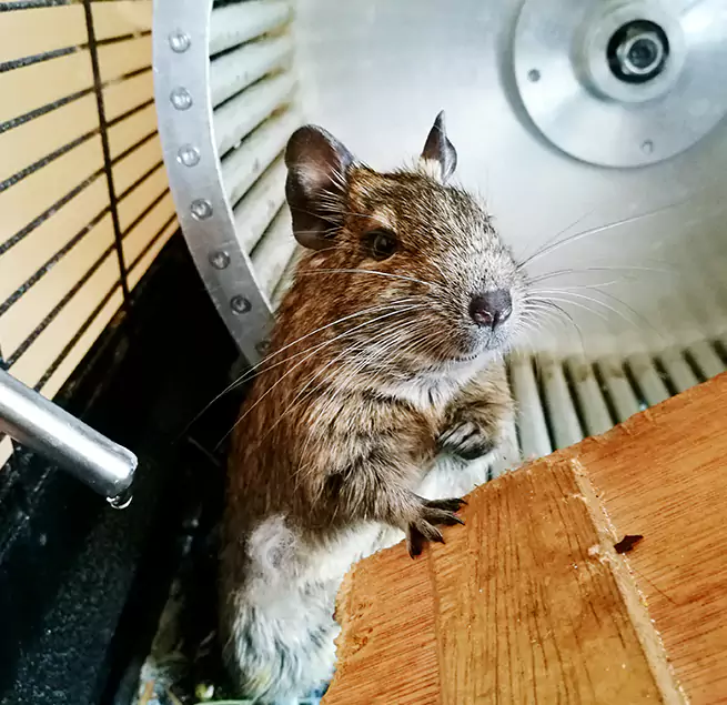 Why Homeowners & Businesses Trust Us Kissimmee, FL