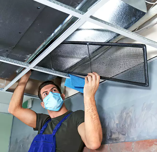 Why Homeowners Businesses Trust Us in Kissimmee, FL