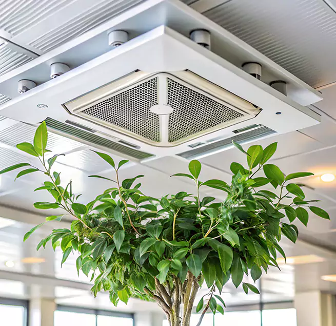 Why Homeowners & Businesses Trust Us in Kissimmee, FL?