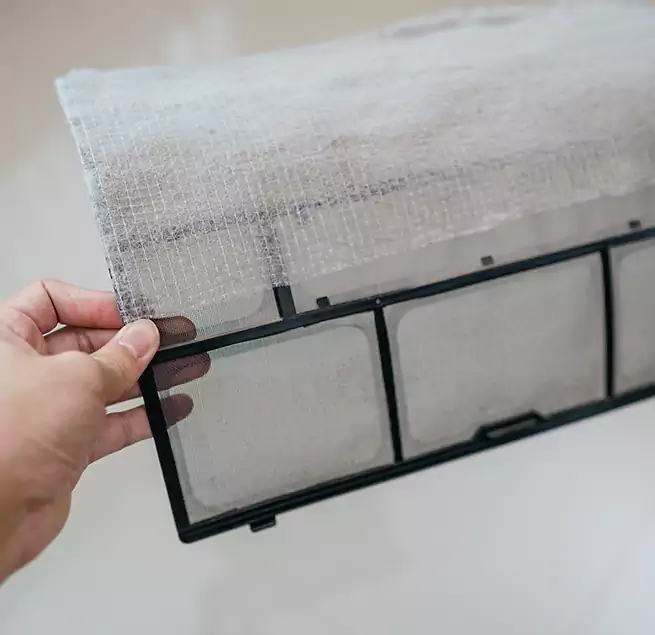 Why Homeowners & Businesses Trust Us in Kissimmee, FL?