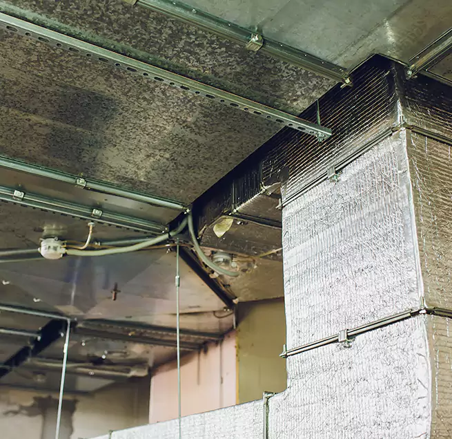 Why Homeowners & Businesses Trust Us in Kissimmee, FL?